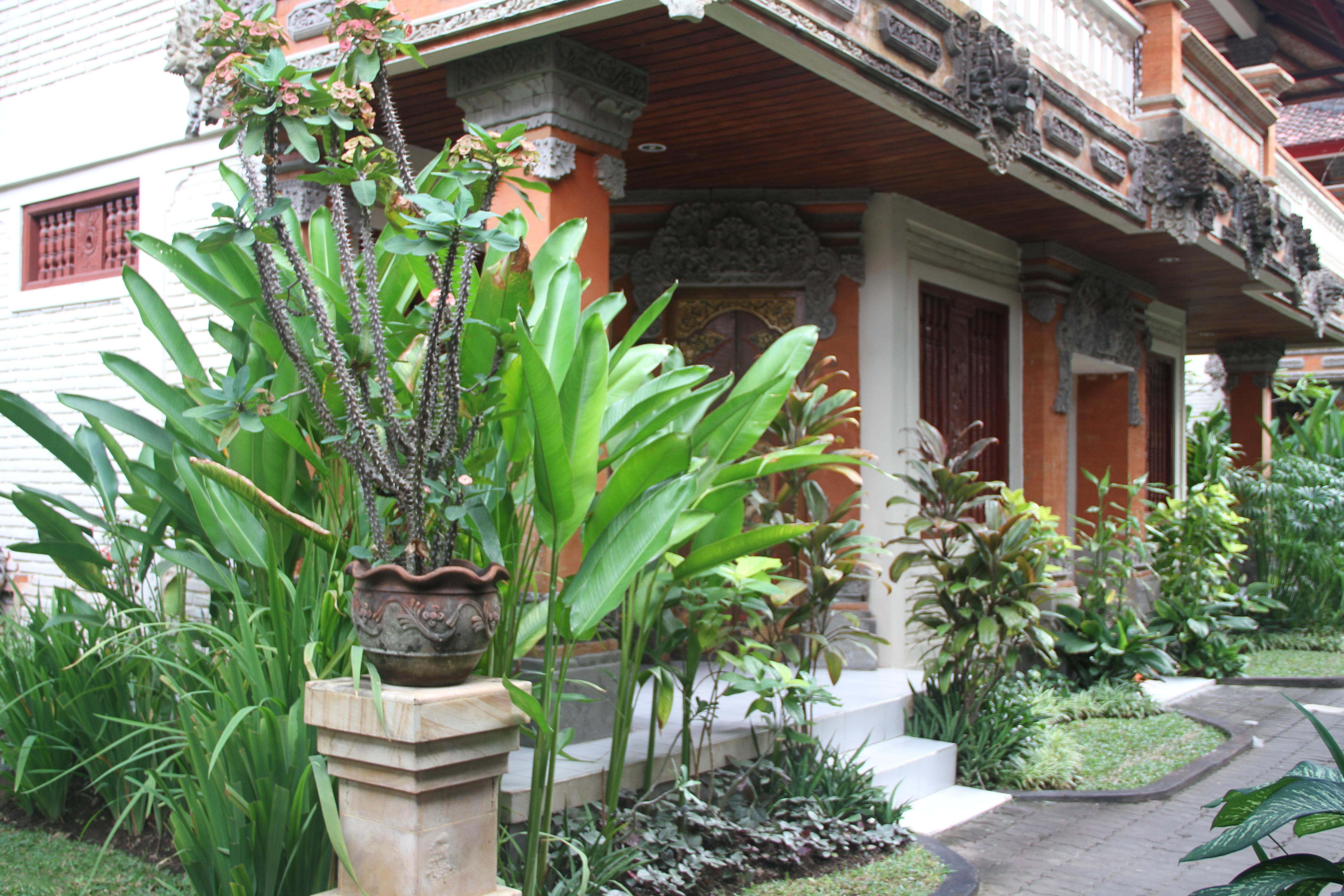 Seminyak Paradiso Hotel Екстер'єр фото